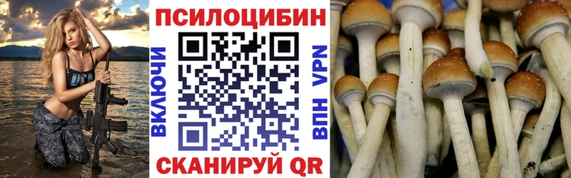 Псилоцибиновые грибы Magic Shrooms Чапаевск
