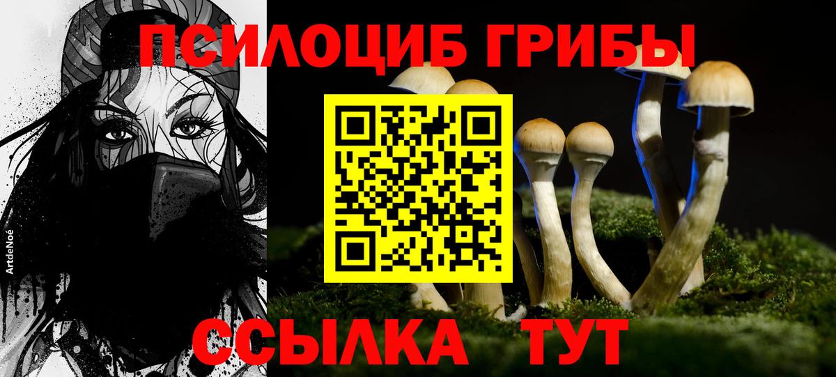 Галлюциногенные грибы ЛСД  Псилоцибиновые грибы Psilocybine cubensis  Вход с VPN  Чапаевск 